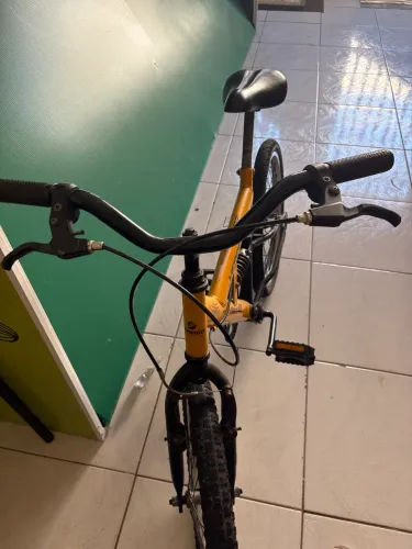 Bicicleta Verden Eagle, Aro 20