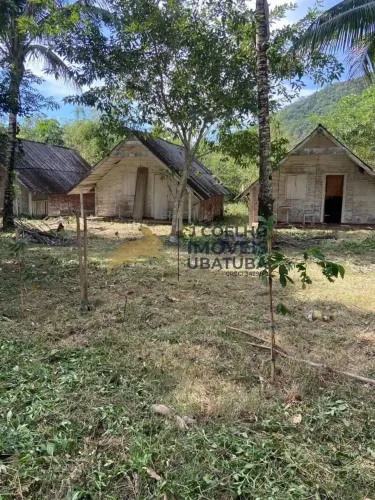 Terreno de 4500 m2 apenas 400 metros da Praia da Tabatinga - Ubatuba SP