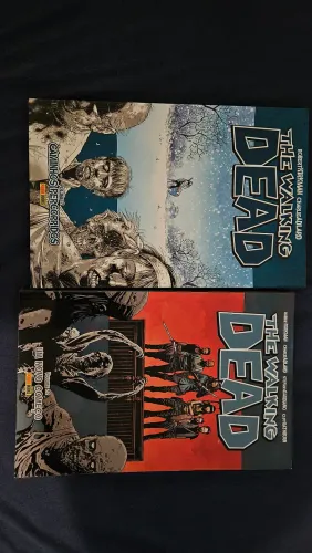 HQs The Walking Dead vol 2 e 22