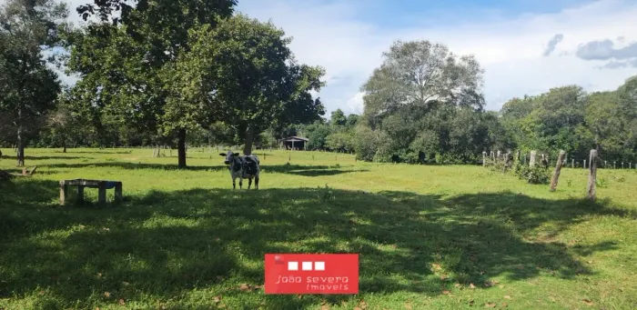 Fazenda para Venda em Luciara