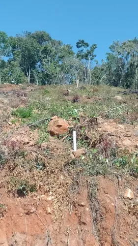 Lindas Chácaras no Alto da Mantiqueira, Delfim Moreira M/G
