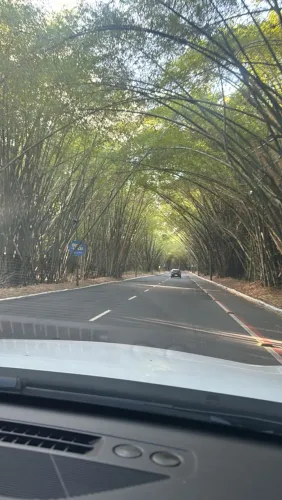 Vagas Abertas