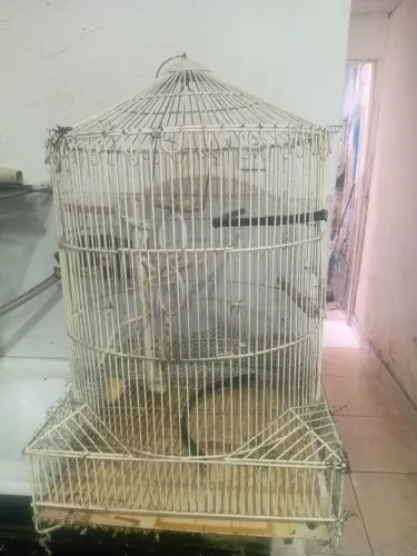 Vende_se gaiola