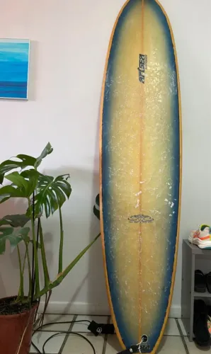 Prancha de surf 