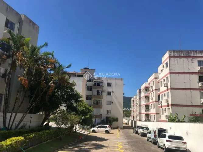 Imóvel para aluguel tem 200 metros quadrados com 4 quartos em Trindade - Florianópolis - S