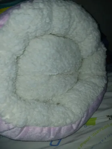 Cama para pets
