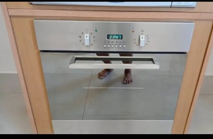 ? FORNO ELÉTRICO GLEM MATRIX 64L À VENDA ?