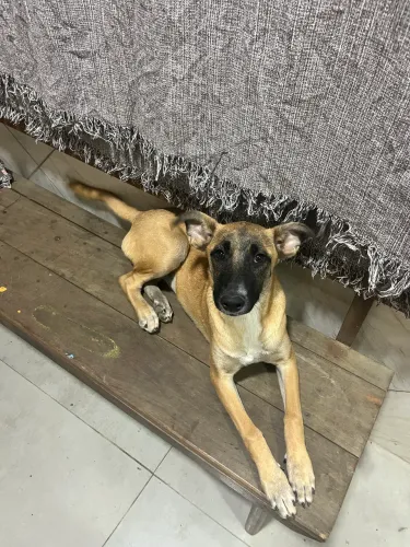 Doação 
