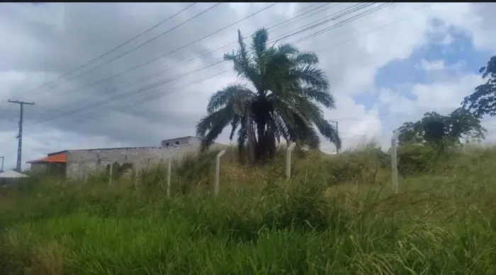 Ótimo terrenos em Arembepe, em frente a BA 099