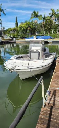 FLY FISH 230