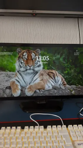TV Monitor LG 22" Full HD (Modelo 22MT45D)