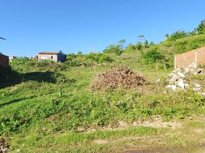 Terreno