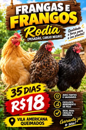 FRANGAS E FRANGOS RODIA