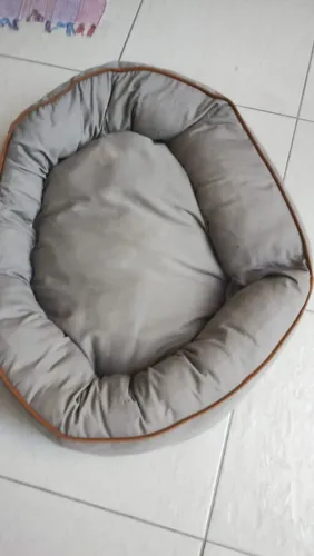 Caminha confortável cachorro 