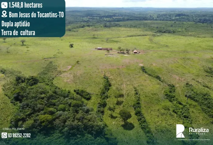 900 RESES/ANO | 320 ALQUEIRES | 850 HA FORMADOS