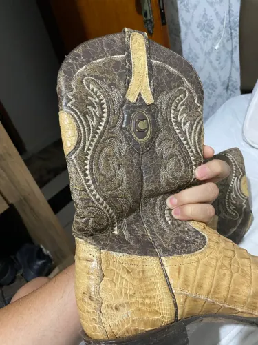 Bota