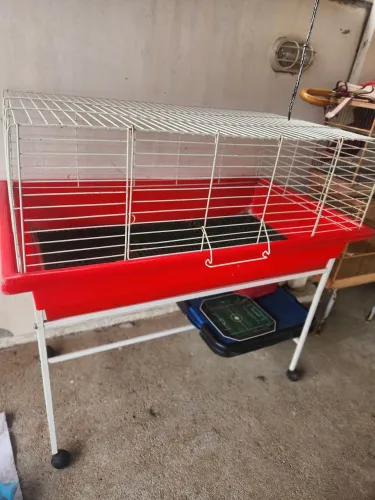 Vendo gaiola