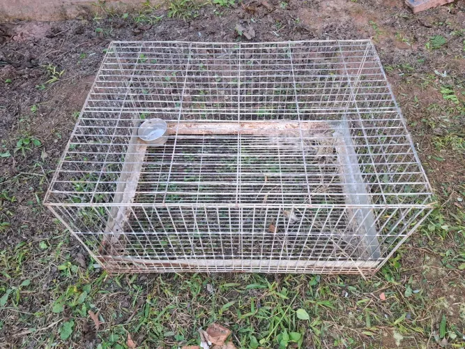 Gaiolas para Coelhos