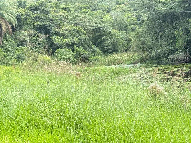 Chacaras rurais em mateus leme
