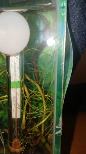 Aquário de 5L