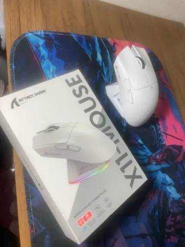 Mouse