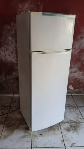 Geladeirra consul