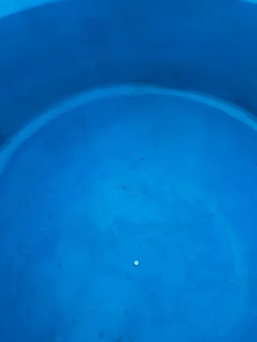 Limpeza caixa d'água 