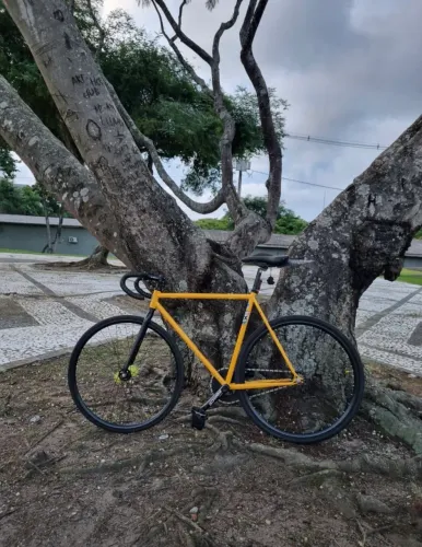 Bike RAF fixa Aro 700