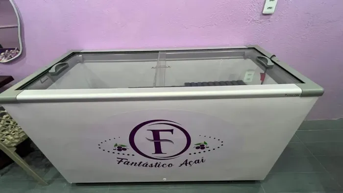 FREEZER HORIZONTAL FRICON /503 LITROS /2 TAMPA DE VIDRO DEALIZANTE/COR : BRANCA ORIGINAL <br>