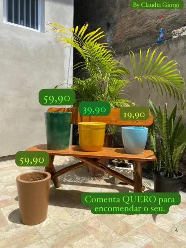 Veja: Os vasos que geram alegria nos jardins
