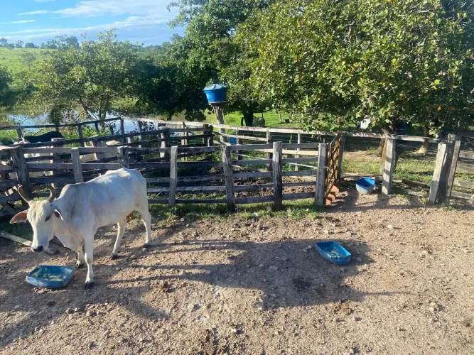 Imóvel para venda possui 8 metros quadrados em Zona Rural - Crixás - GOF