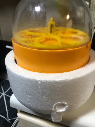 Chocadeira elétrica 6 ovos