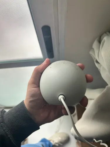 Alexa Echo Pop