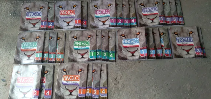 Livros da Anglo