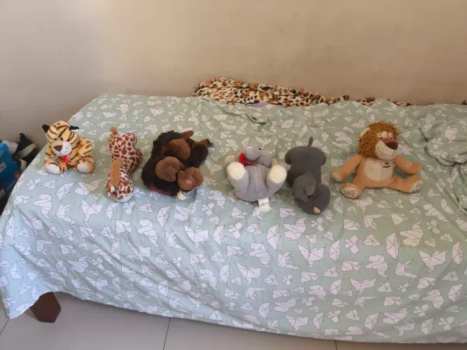 Pelúcias diversas