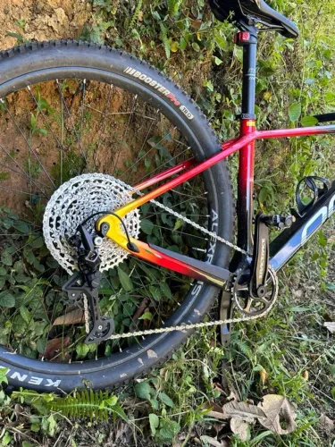 mountain bike aro 29