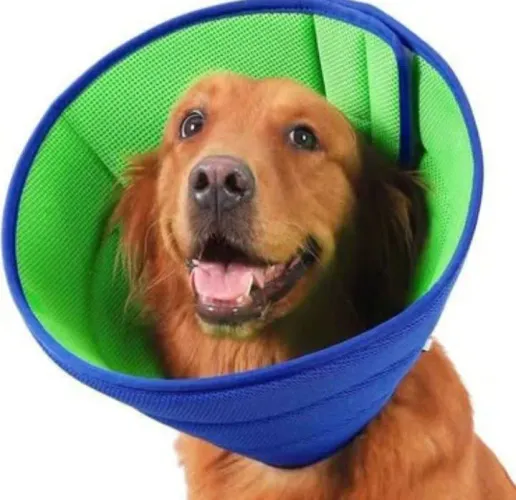 Colar pós operatório para pet pequeno porte.