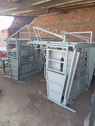 Tronco de contenção bovino