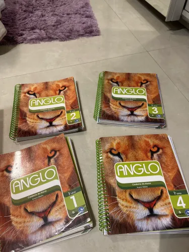 APOSTILAS ANGLO 1º ano ensino médio