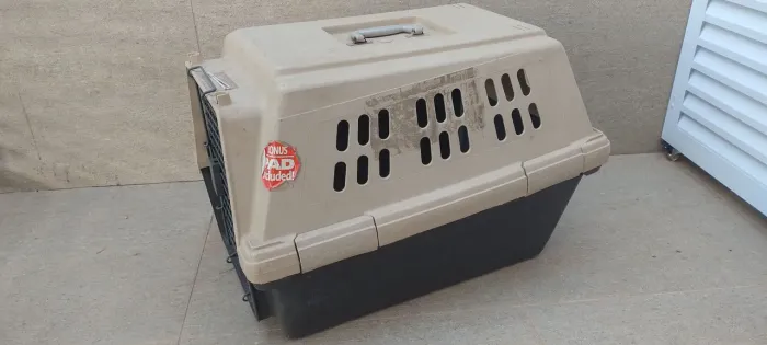 Caixa de transporte de cachorro pra viagem