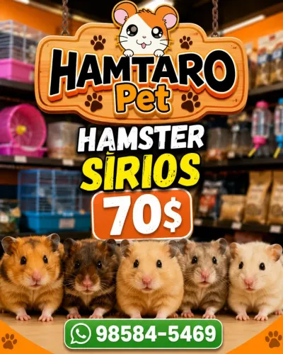 Hamster