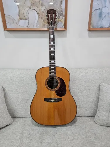 Violão Giannini AWGS 300 1979 Exportação