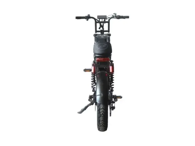 BICICLETA ELÉTRICA