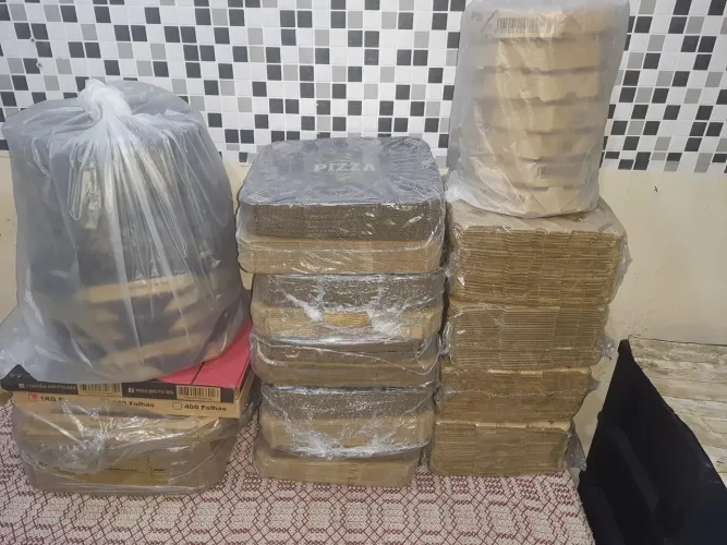 Lote Embalagem para pizza