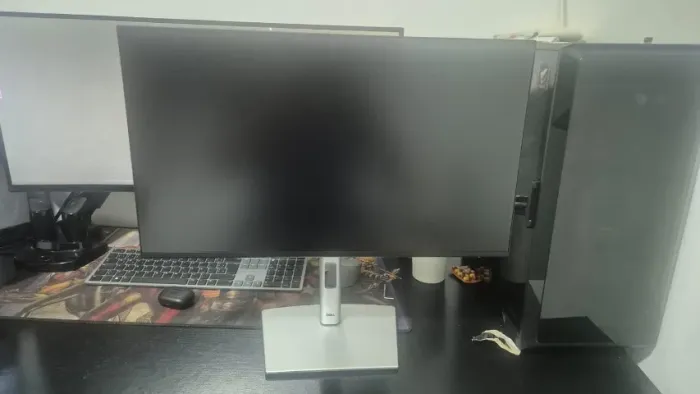 Monitor Dell Pro 24 Plus ? P2425H