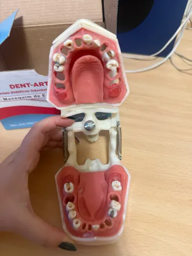 Manequim endodontia Dent-art usado