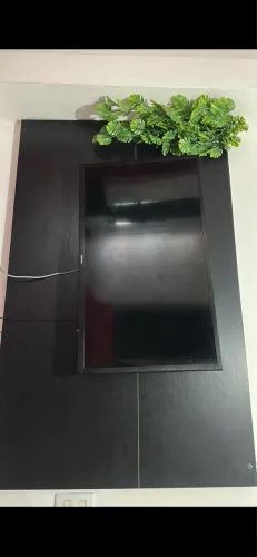 TELEVISÃO