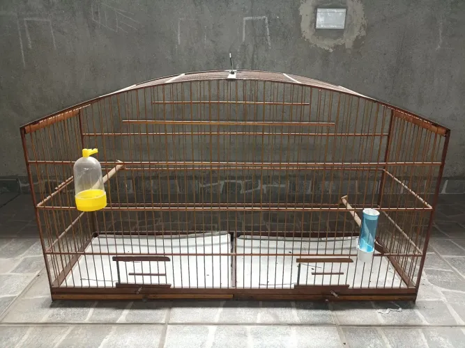 Voadeira tala larga fibra