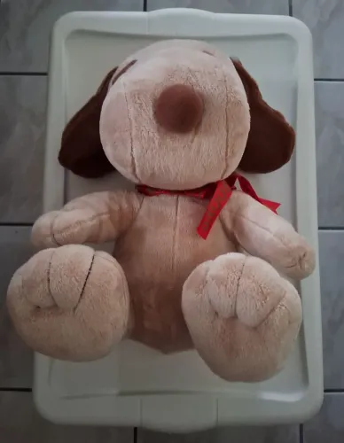 Snoopy Marron Edição Especial 