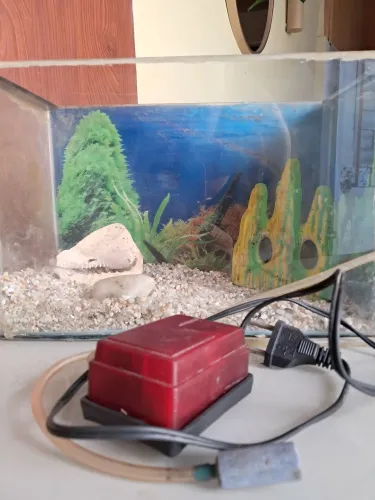 Aquário de peixes